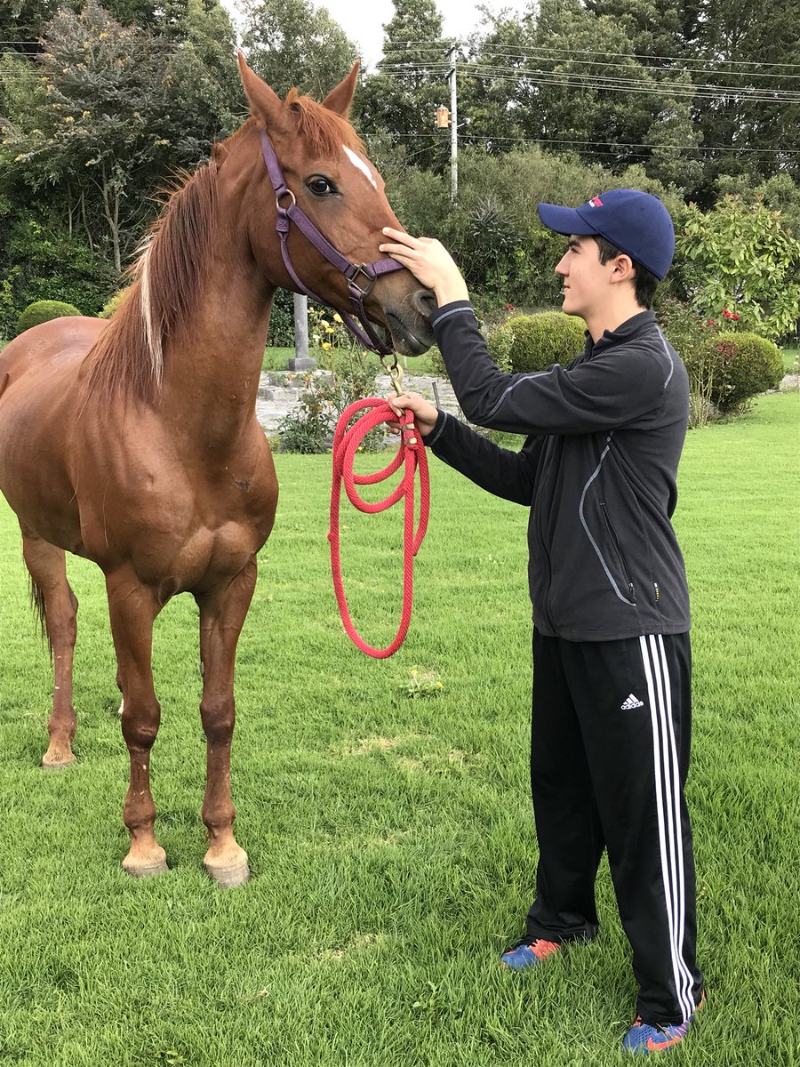 HatoVerdeFarm's tweet photo. Disfruta de momentos diferentes #caballo #endurance #tripadvisor #travel #luxury #confort #nature #vacations #besthotels #hosteria #allyouneedisecuador #hotelboutique #stateofheart #peacefull #thisisecuador https://t.co/suIl4aJRtu