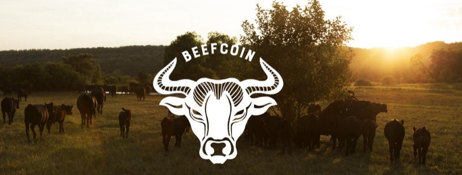 🐂📲📊 <a href="/beefcoin/">BeefCoin</a> una #criptomoneda para la producción de #carne desde la granja hasta la mesa ➡️ crypto-economy.net/beefcoin-una-c… vía <a href="/CryptoEconomyEN/">Crypto Economy News</a>