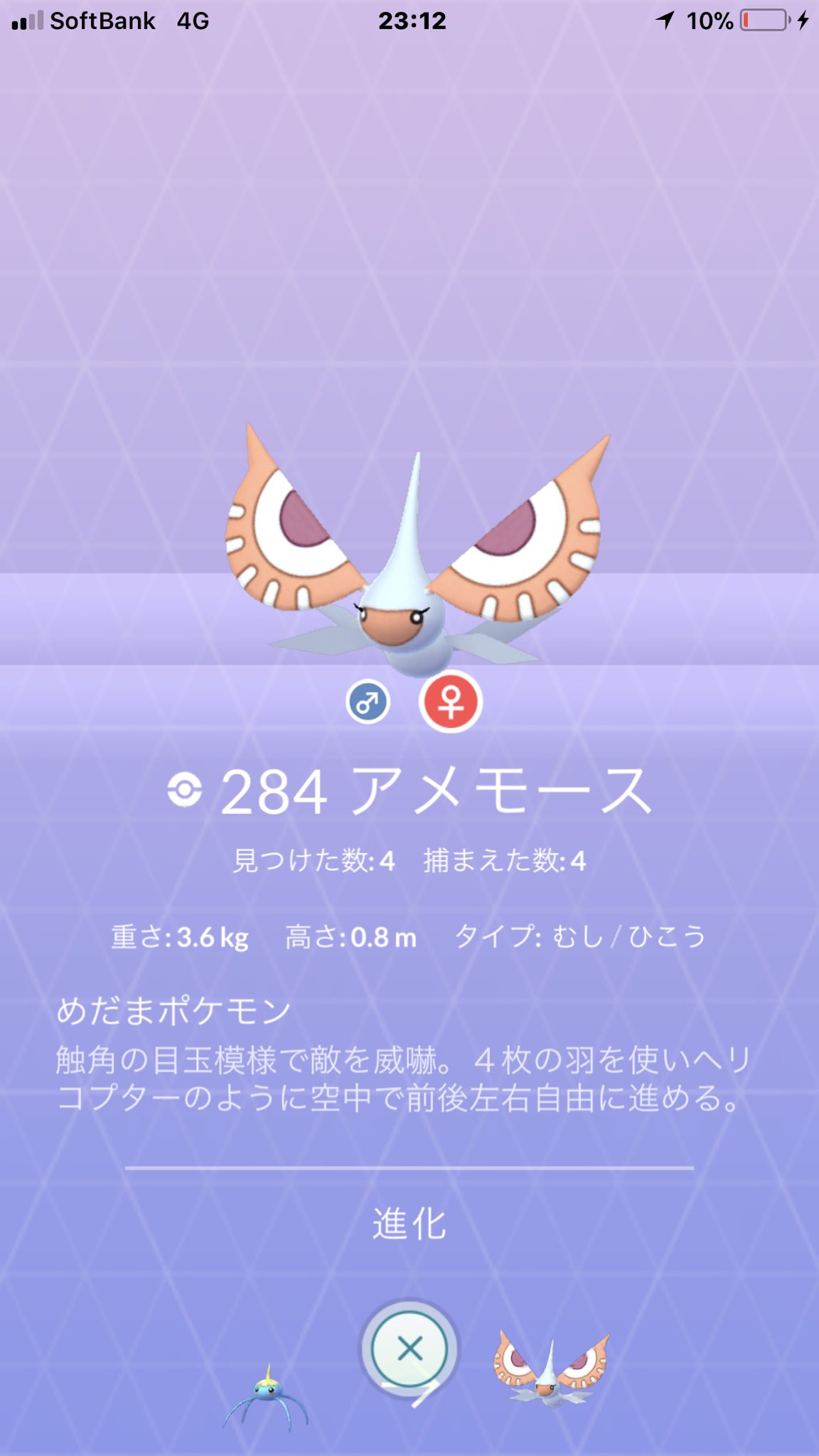 猫の飼い主 ポケモンgo アメモースのオスとメスがそろった T Co Nl0lm7mfrt Twitter
