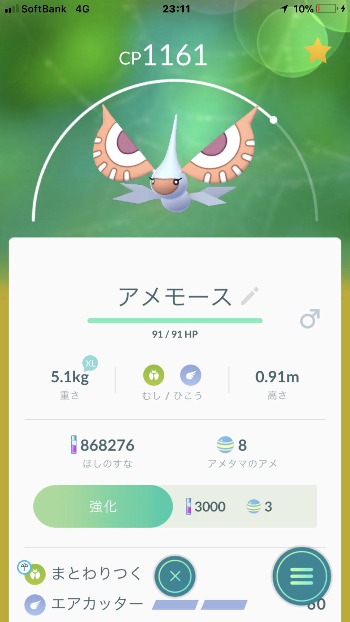 猫の飼い主 ポケモンgo アメモースのオスとメスがそろった T Co Nl0lm7mfrt Twitter