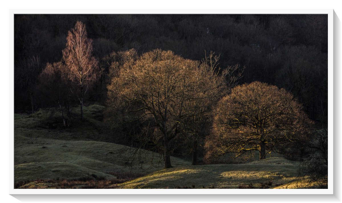 marksmcneill's tweet photo. @OPOTY @NikonProEurope @ThePhotoHour @StormHour @golakes @lakedistrictnpa @Stephencheatley @simoncwoodley
the river brathay #LakeDistrict #landscapephotography #nikopro #3leggedthing https://t.co/QaEX8R24Zx