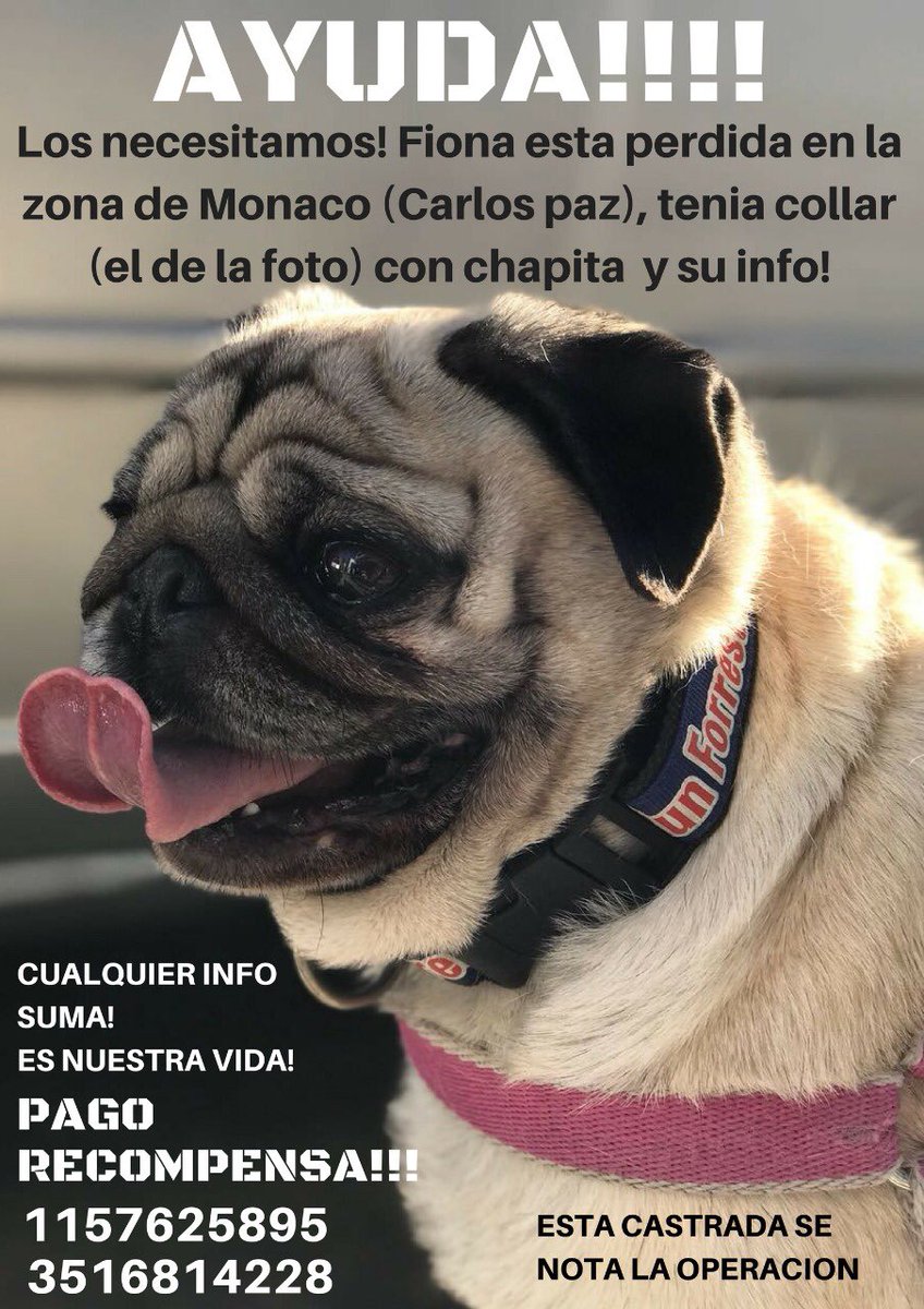 Se perdió ayer cerca de las 22hs en Carlos Paz ,si alguien la vio comunicarse a los teléfonos d ella foto 🙏🏻gracias