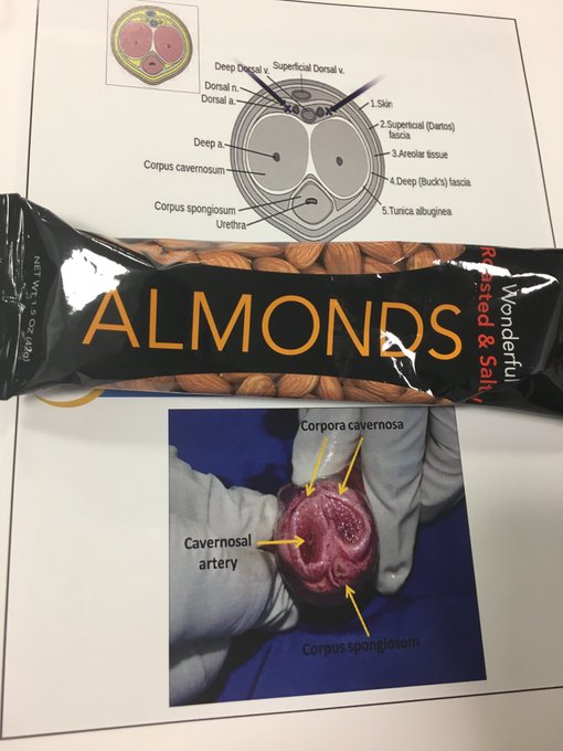 Did you know they have Almonds here https://t.co/j5FNhFx2Lb
