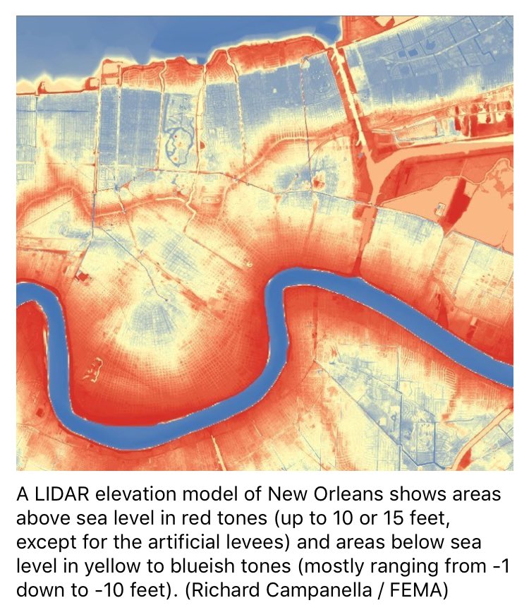 Nic Gunkel tweet media