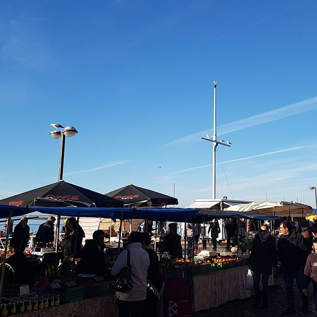 BeckyinPortugal's tweet photo. One of the best things about Olhão has to be the Saturday market. Get down there early to miss the crowds.

#freshlocalproduce #farmersmarket #olhao #algarve #beforenine #saturdaymorning https://t.co/xYn2xFbPSi https://t.co/7Ke8xavi1i