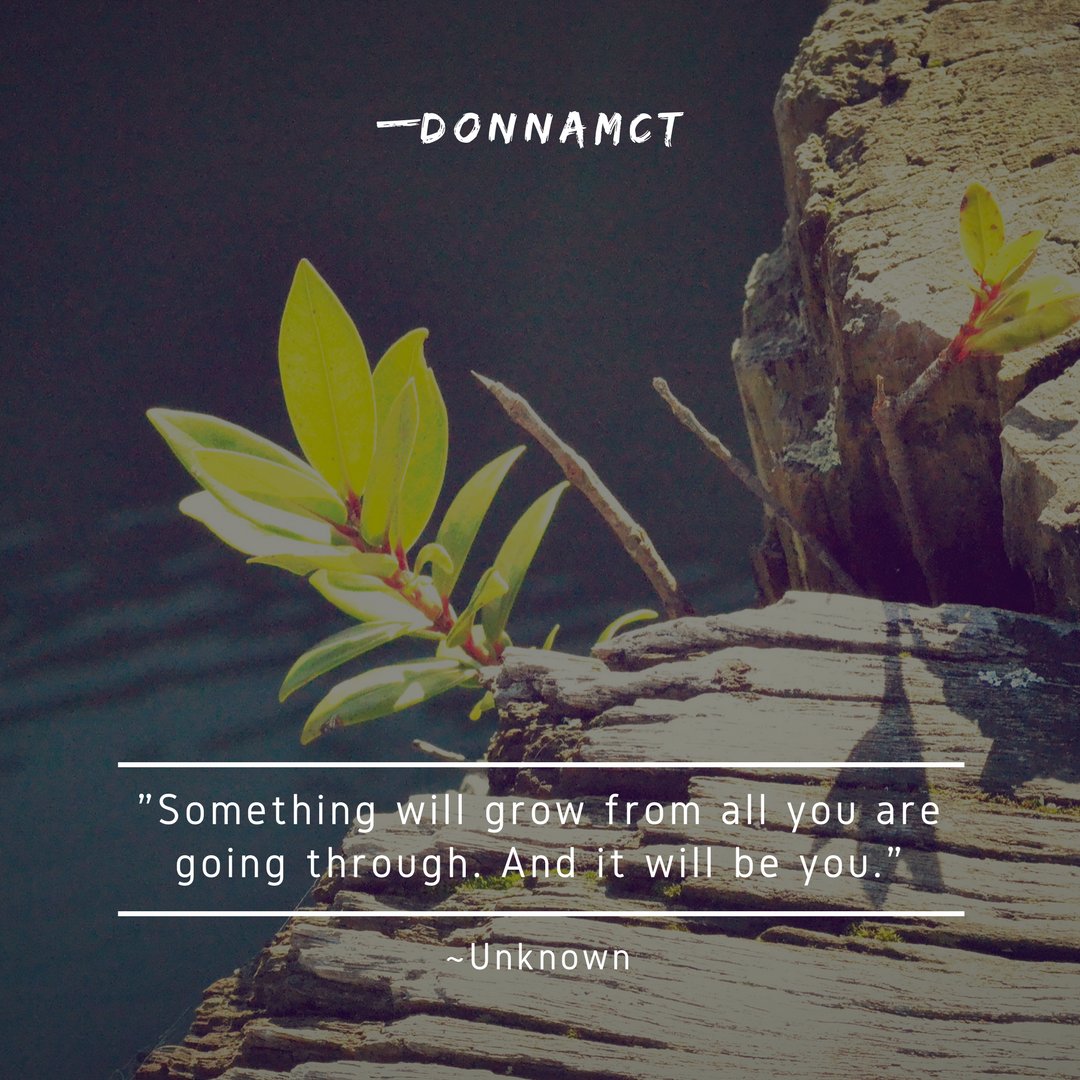 Thought for the day: "The key to happiness is letting each situation be what it is instead of what you think it should be." ~Mandy Hale
#3071