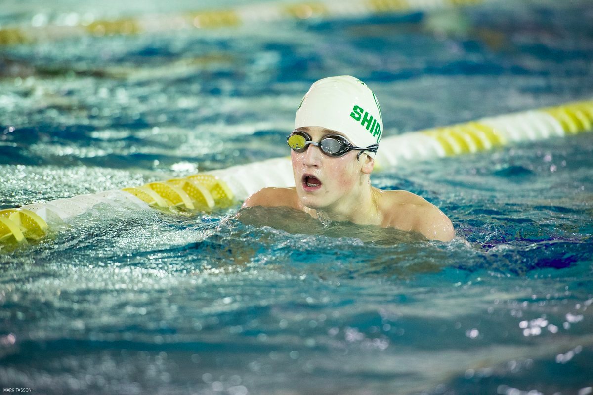 Shipley Athletics tweet media