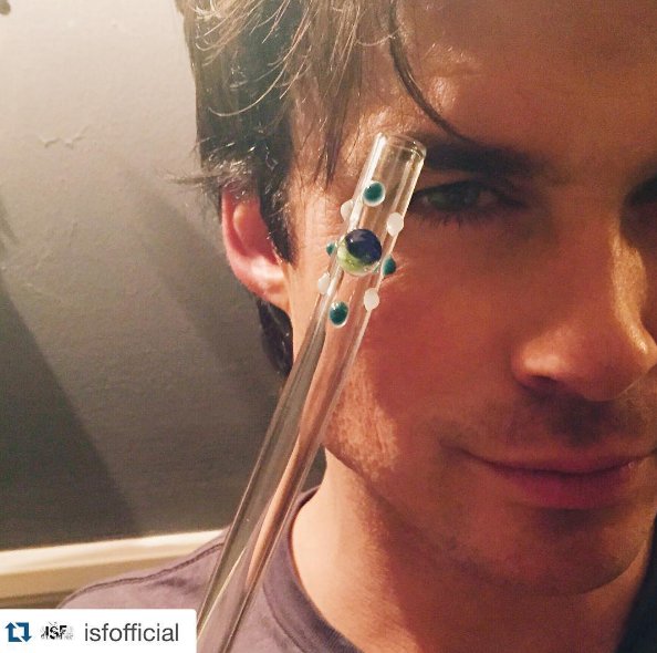 We're proud to support <a href="/iansomerhalder/">Ian Somerhalder</a>'s foundation + positively impact the planet and its creatures! buff.ly/2Ag9mCY #glassstraws #community