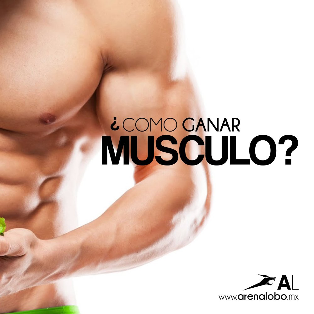Todo el mundo necesita más músculo. Si lo quieres, aprende a ganarlo. Aquí te presentamos algunos tips de como ganar masa muscular.
arenalobo.mx/blog.html
#ArenaLobo #Fitnessclub #Estaenti #UnGimnasioParaTodos
