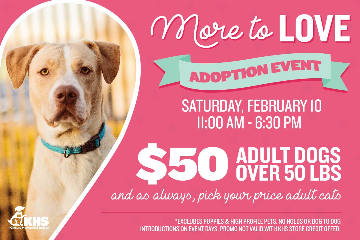 TODAY IS THE DAY!

All dog $50 pounds or heavier are $50! This deal is valid today from 11 a.m. to 6:30 p.m.

Come down to KHS and adopt one of these adorable dogs!