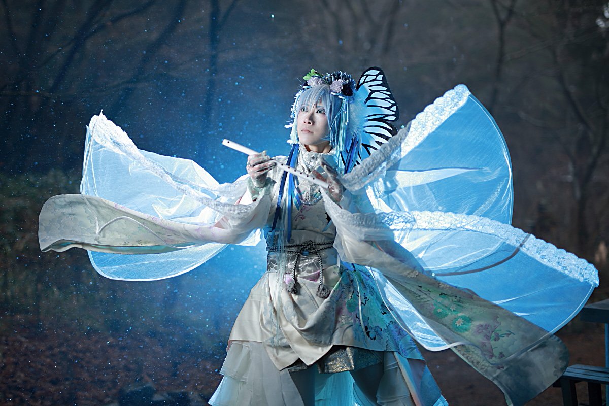 الوسم 蝶擬人化 على تويتر الوسم 蝶擬人化 على تويتر