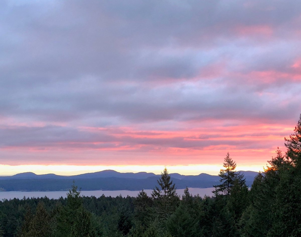 Raffi_RC's tweet image. good  Saturday  morning! 
#westcoast #SaltSpring