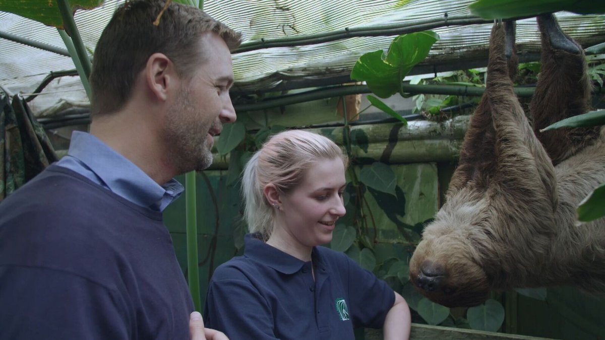 VillageOTYear's tweet photo. They’re a creative bunch too with their bi-ennial arts festival.   Other things that stood out to the judges was the community shop, the quirky adopt a grave scheme, and the rainforest with Cinnamon the sloth! #villageoftheyear https://t.co/bzqlxu5fli