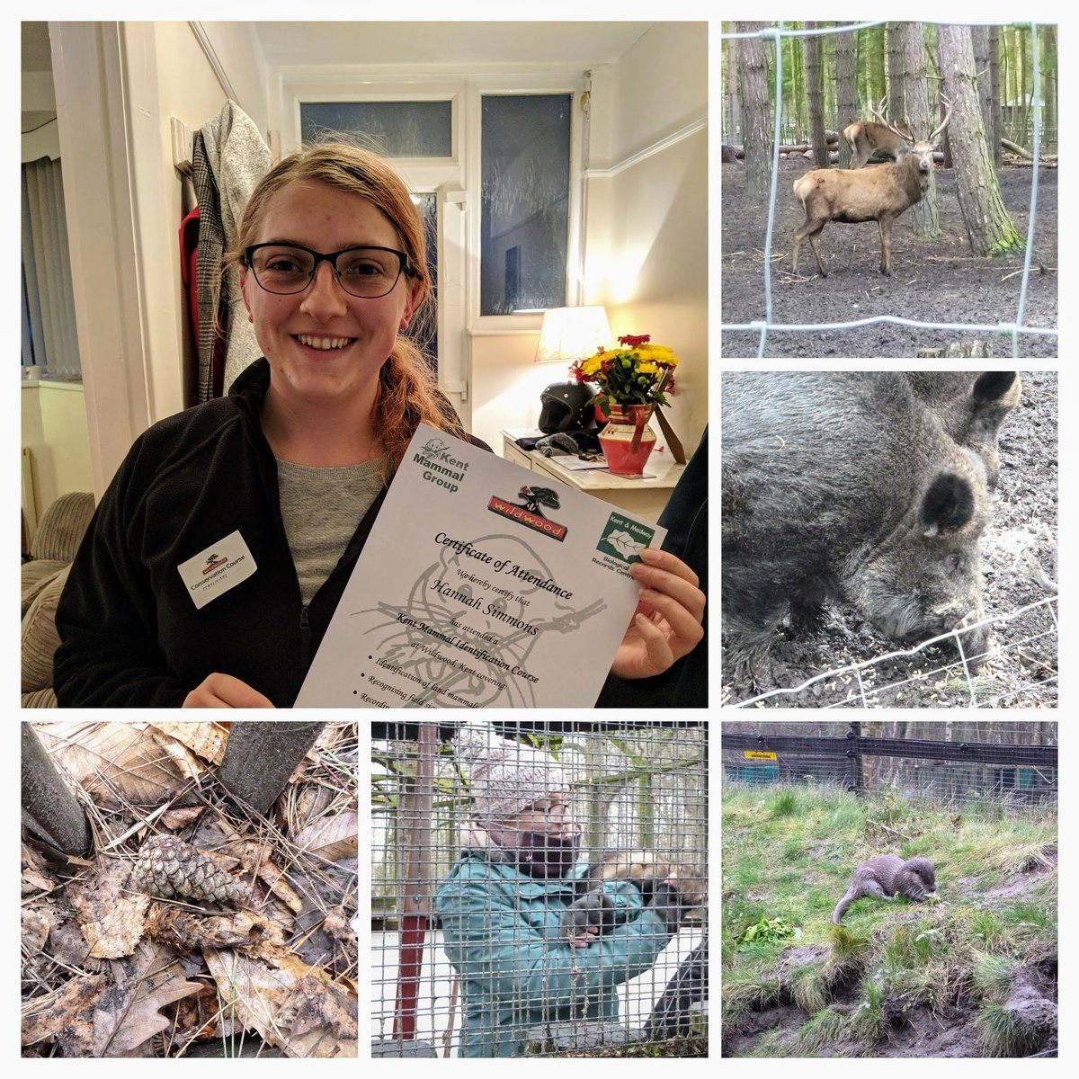 HanSims36's tweet photo. I can now identify deer bums and mammal poo! Great day learning to identify Kent mammals. Thank you to @WildwoodTrust and @KentMammalGroup for putting on the course #kentmammals #wildwoodtrust #mammalid #conservationcourse #mammalconservation #conservation https://t.co/YZdAkShOcd