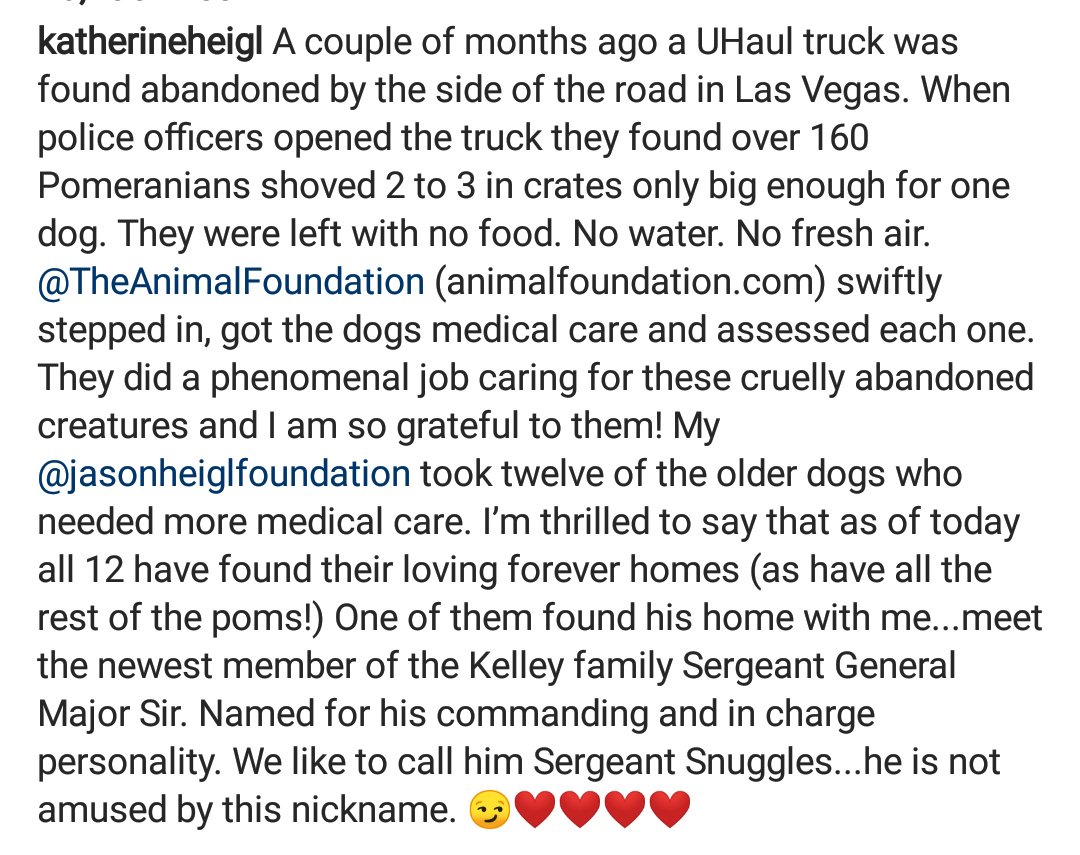 DailyKatieHeigl's tweet photo. 🐶🐾♥️ https://t.co/xl5nkW5yyH