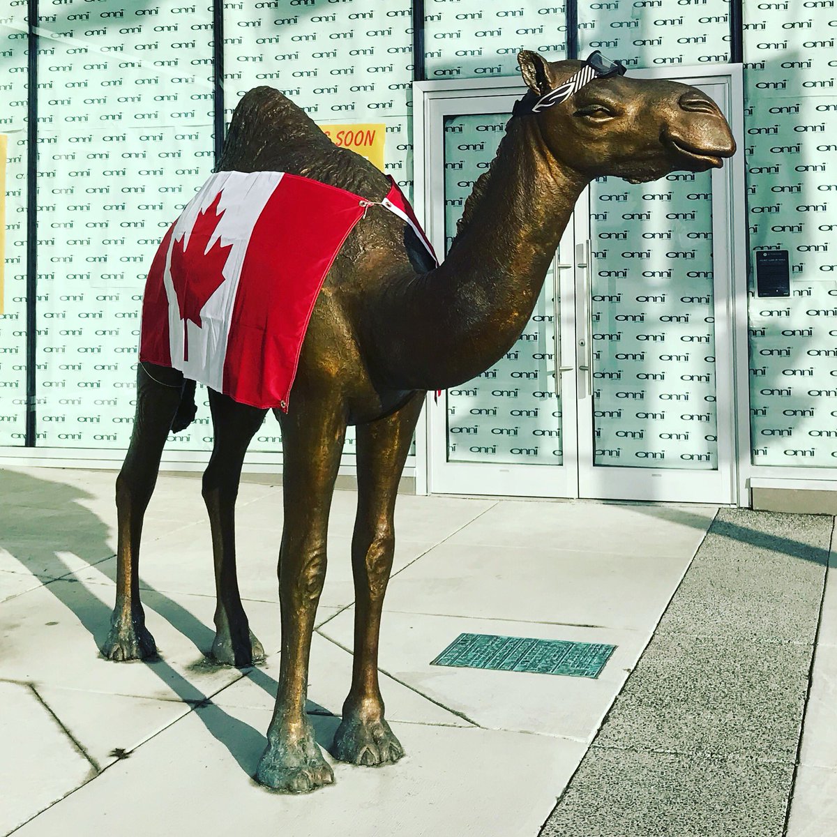 Someone in town has #Olympics fever.  Go 🇨🇦!#TheLady🐪  #NorthVan https://t.co/DrfqXSF4z2
