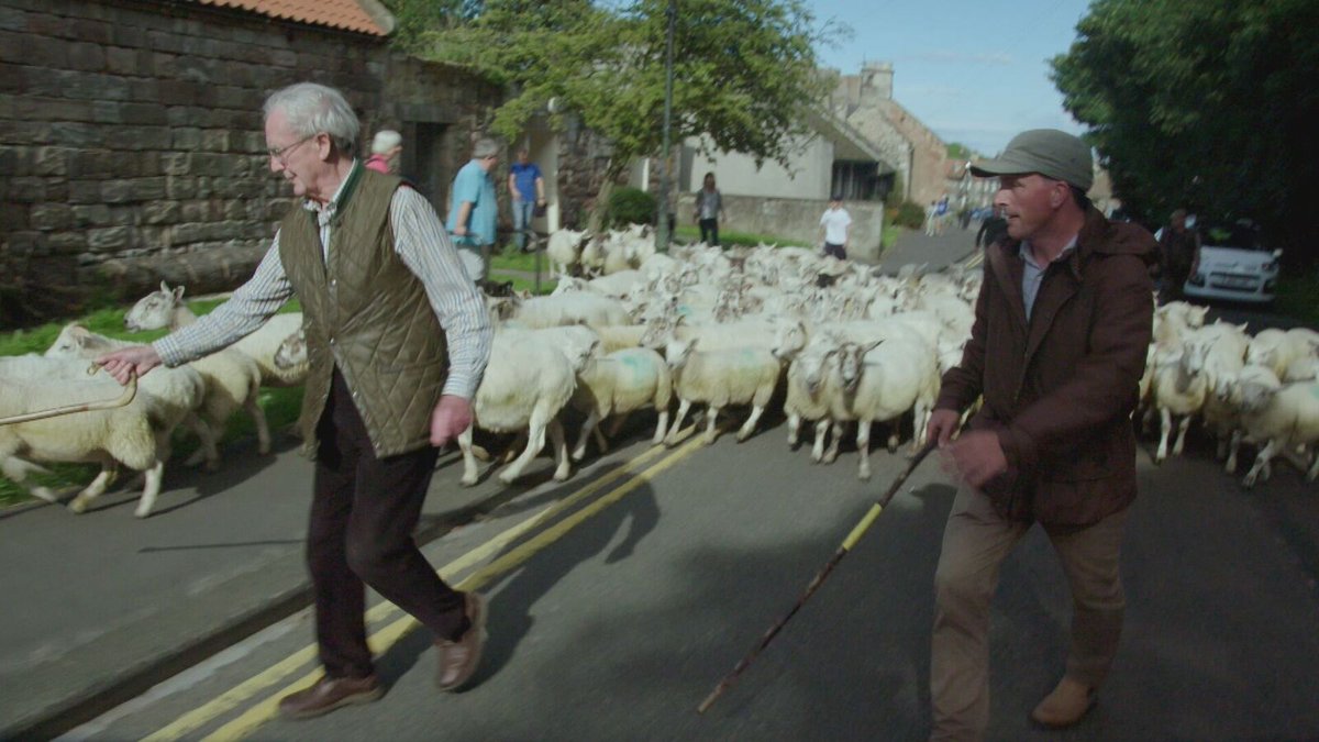 VillageOTYear's tweet photo. Bamburgh celebrates its own story, from local boat building in memory of heroine Grace Darling, to keeping up ancient bylaws with driving sheep through the village.  #villageoftheyear https://t.co/LBKcycLilI