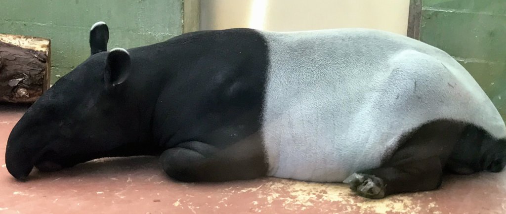 creativecr's tweet image. Anxiety and creativity creativecreativity.com/2018/02/10/anx…