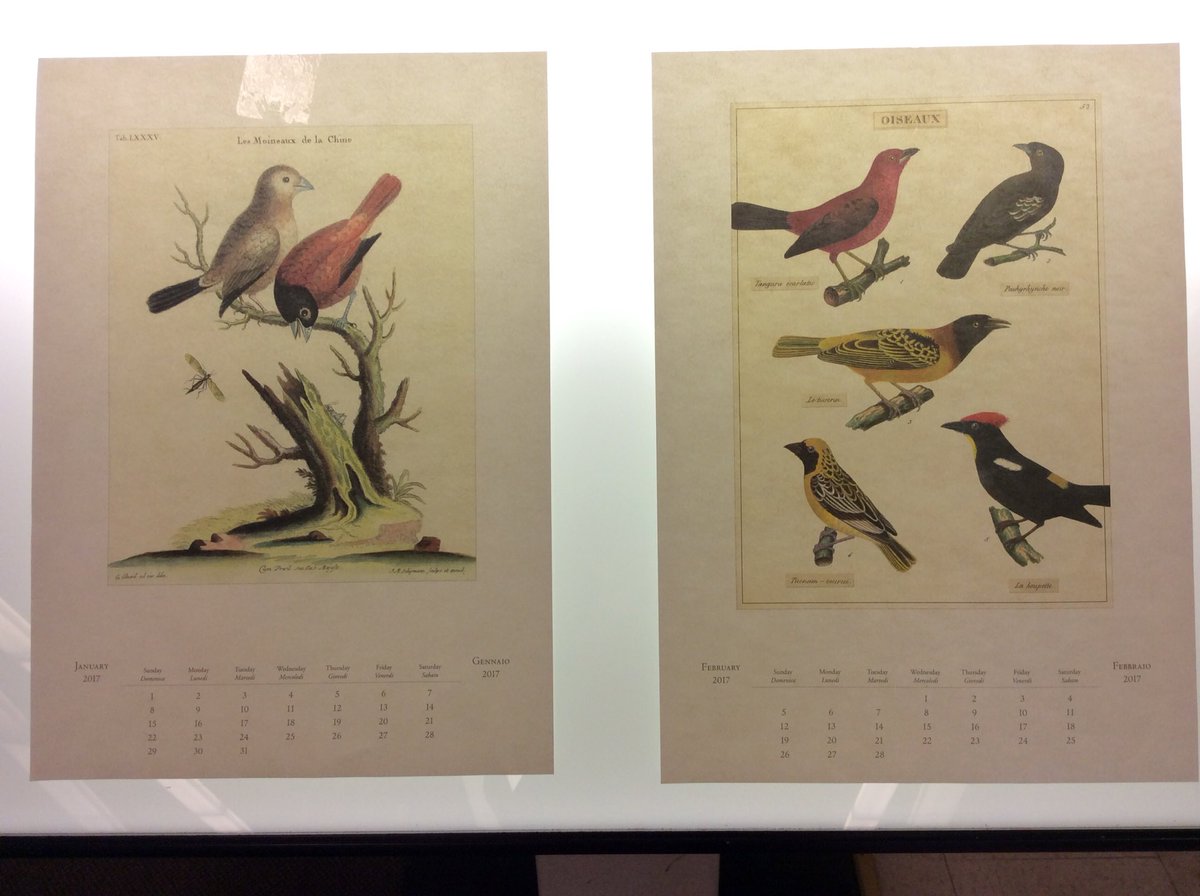 debrafranke7's tweet photo. Come and trace you favourite birds on our light table at Byron today. Spring comes closer with birds! @londonlibrary #birdswelove #lighttablefun #drawingfun https://t.co/Ot8nufOeX6