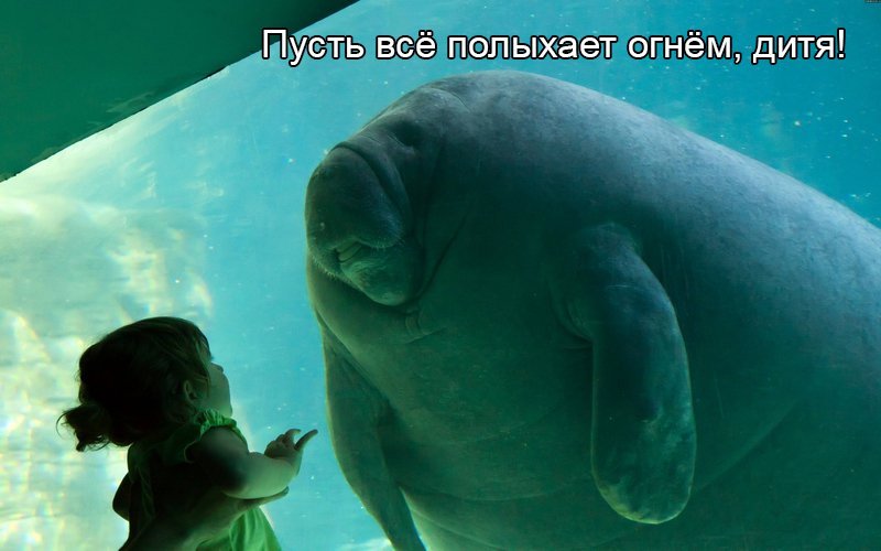 DVsFvPTXUAEpErC.jpg