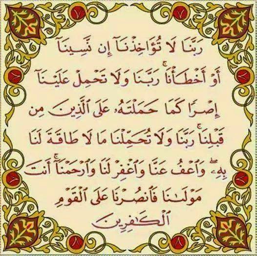 warda tweet media