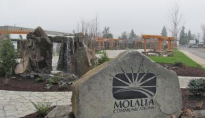 pdx_shuttle's tweet image. Molalla PDX shuttle airport beavertonairporter.com/blog/2018/02/m…