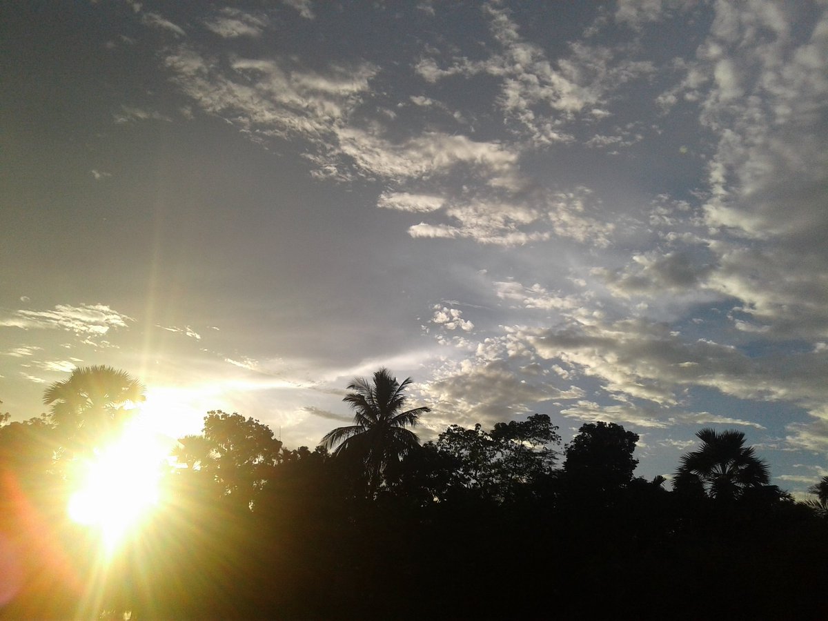 chralie's tweet photo. Nature of bangladesh..💖💖..I love my Country😍😍 https://t.co/rKKY8Qddpf