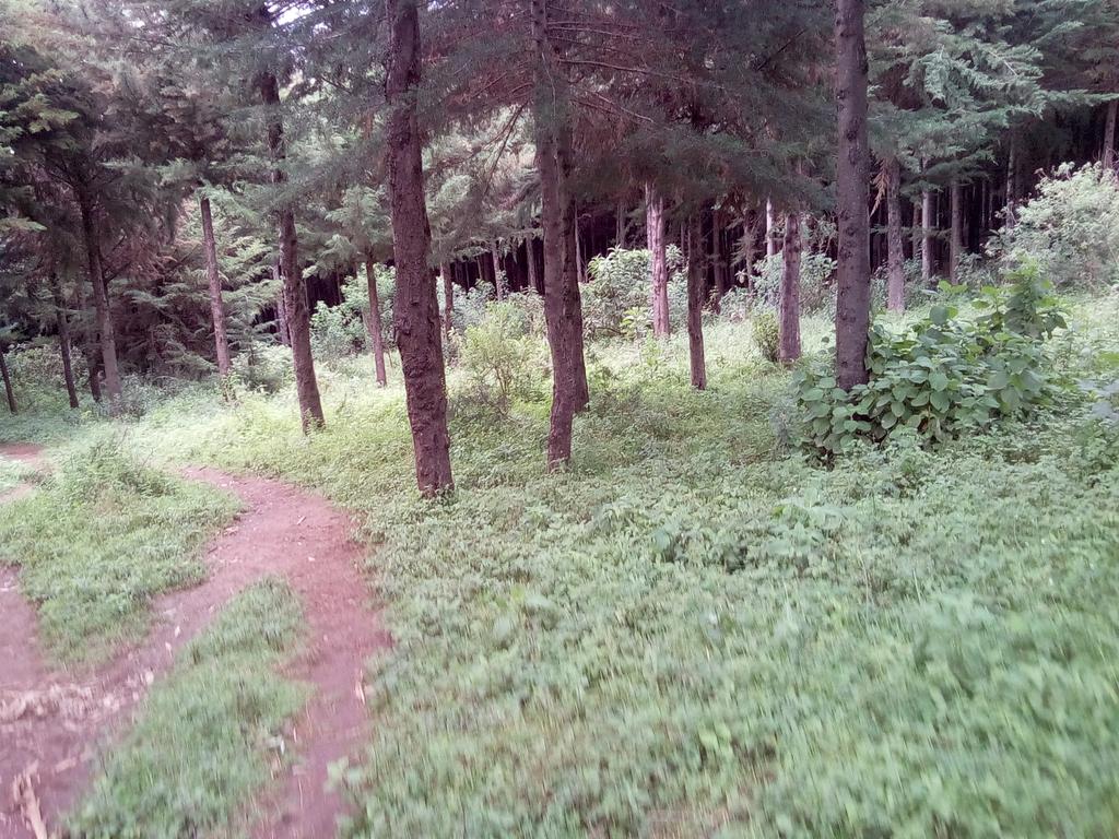 Samuel Mburu tweet media