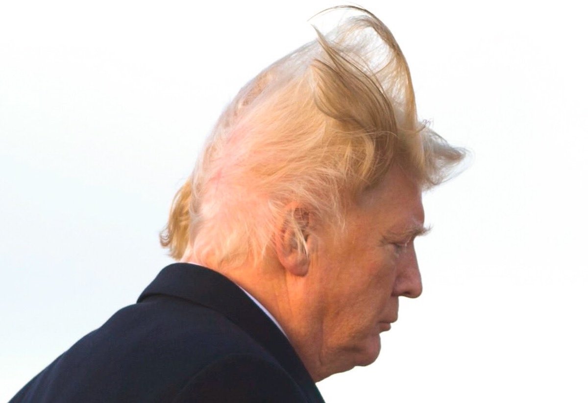 a mop of hair