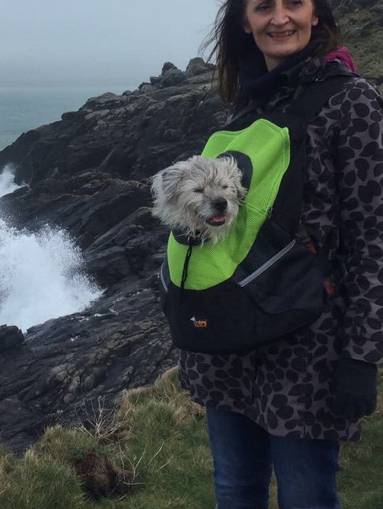 First visit to St Ives wivout Bean 😢. I can’t walk too far as I is 17 so mum’s got me a new bag!
