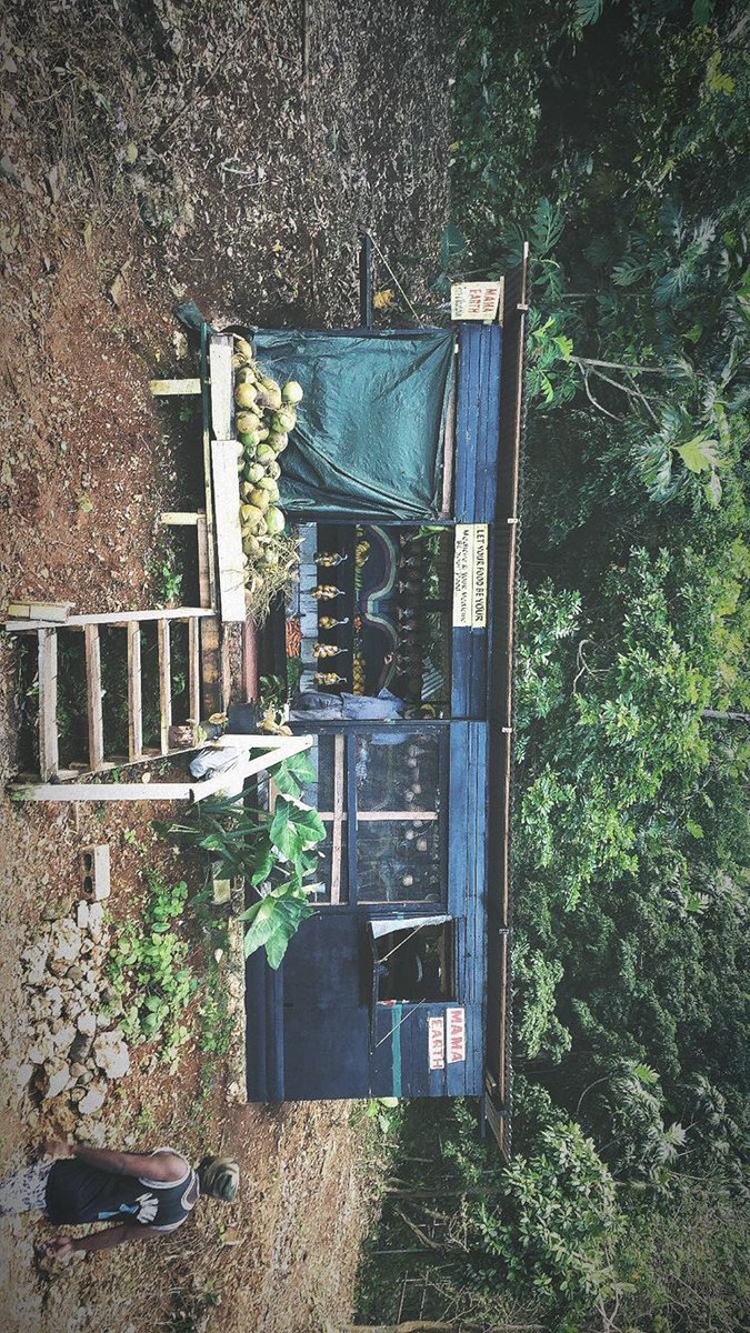 ShawnMendessArg's tweet photo. 📸 | Shawn vía ig storys

@ShawnMendes #AllWeGot #BestCoverSong #iHeartAwards https://t.co/j7TWr7cMq8