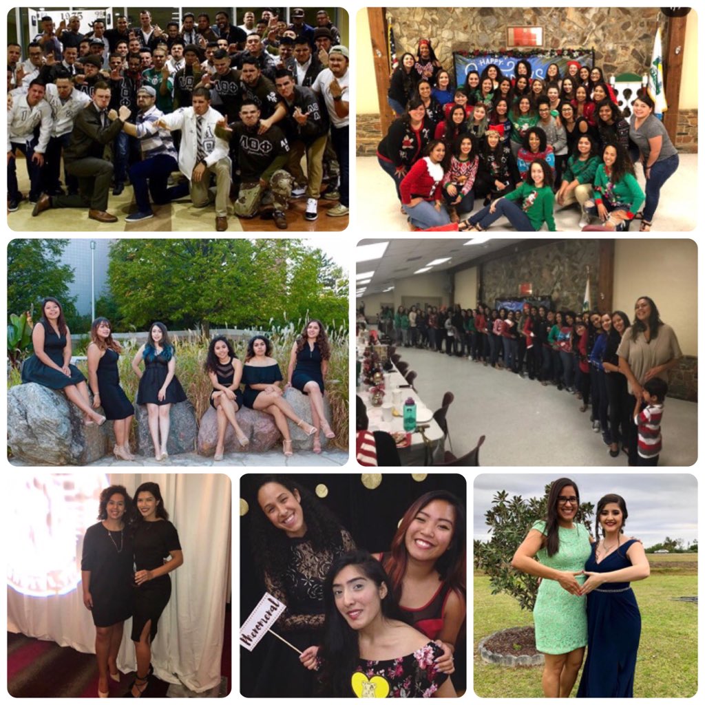 USF_DTL's tweet image. We love our Prophytes 💛 👀💎 Photo’s from today’s challenge! #prophytes #phenomenalfebruary #dtlphotochallenge Keep posting throughout the month to be featured! 🦁