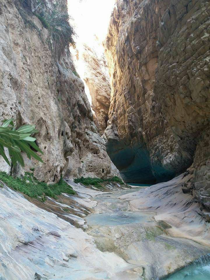 discoverbaloch's tweet photo. On earth there is no heaven, but there are pieces of it.
.
Mesmerizing Beauty of Charoo, Khuzdar, #Balochistan
PC: Nadir Khan
.
#Charoo #DiscoverBalochistan @zehri_Rubina @EhsaanMeer @mansoormansay @HemnaBaloch @atiqkurd @PakistanNature @Senator_Baloch https://t.co/yLvr7cylxq