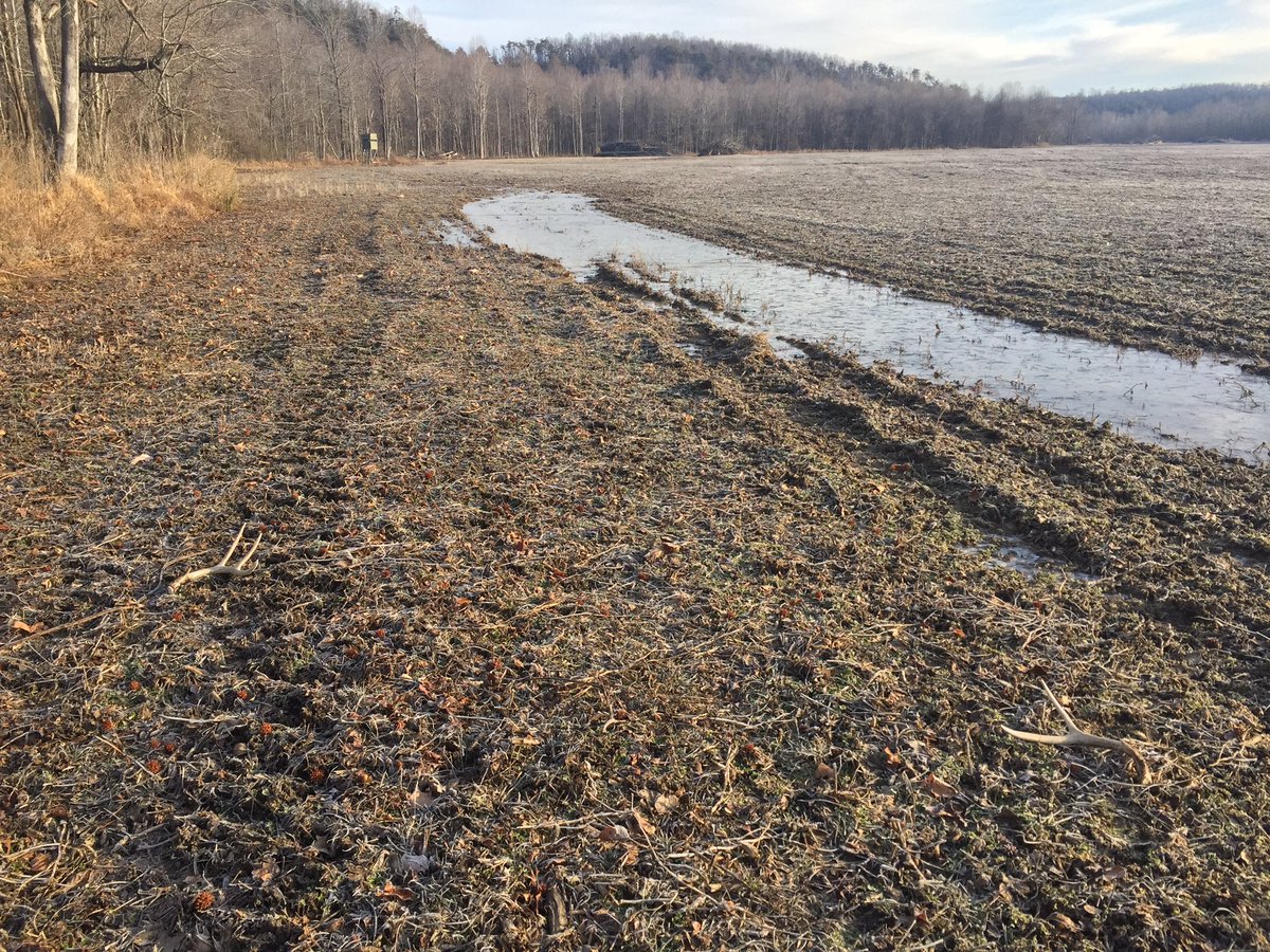 blknoiz009x's tweet photo. Great day at the farms! Walking new property and finding some bone! #shedhunting #shockeffect #bossbuckfeeders https://t.co/vLciaAUHE9