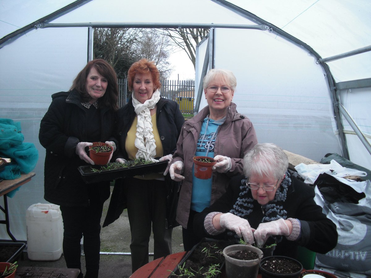 pinehurstgreen1's tweet photo. Re Potting the Spinach. Now that Spring is on the way it's all Systems go 😉 https://t.co/HKjrB2Pjnx