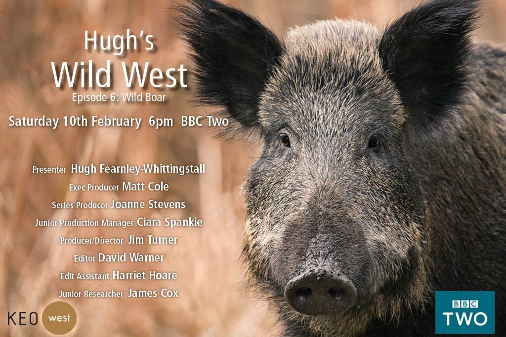 CirrusAerials's tweet photo. Time for Hugh’s Wild West again. 6pm BBC2. It’s an absolute doozie tonight in the Wye/FoD. Boar, Goshawk, the Dipper Queen is moth trapping, &amp; Oak ecology. Sit back and enjoy. https://t.co/5bIRueebfv