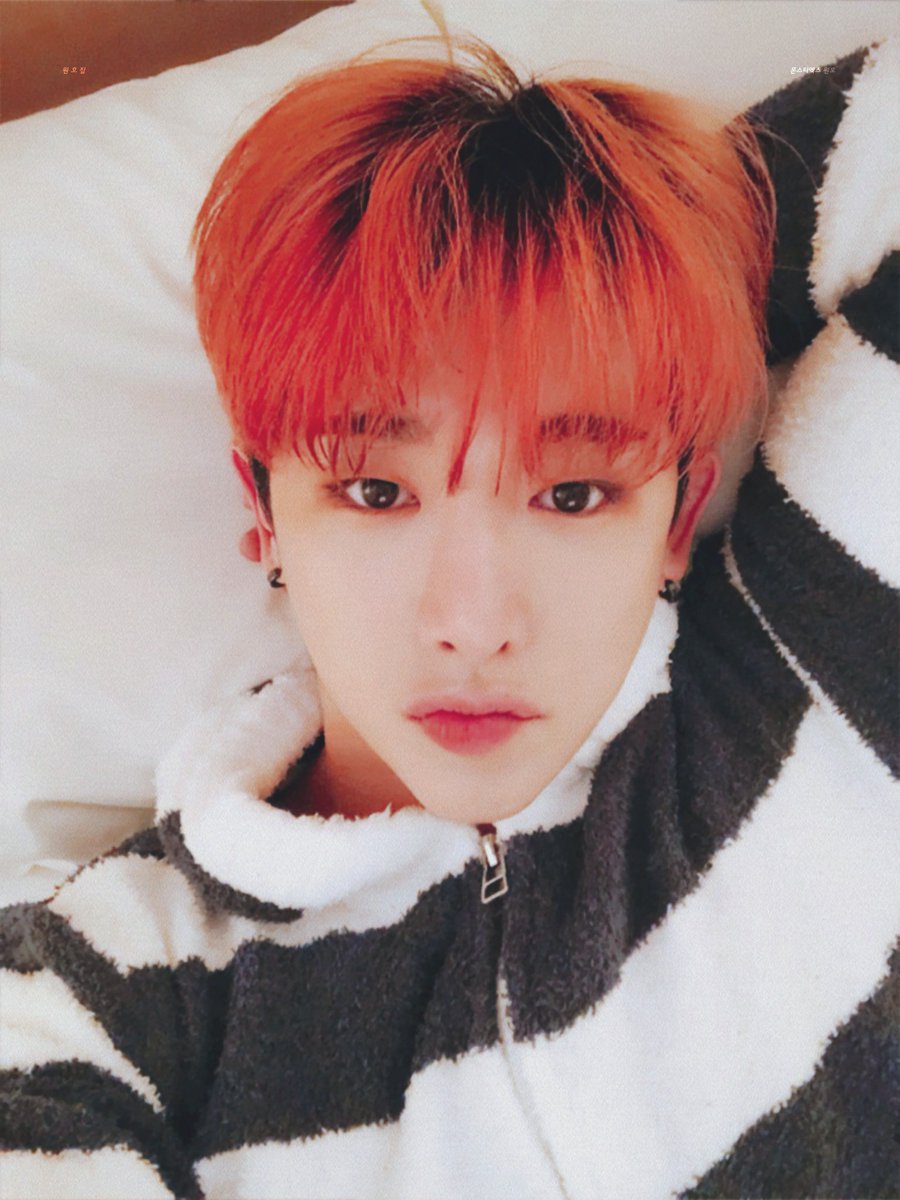 wonho_zip tweet picture
