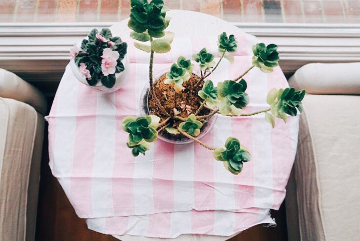 Ordinary Hero tweet media