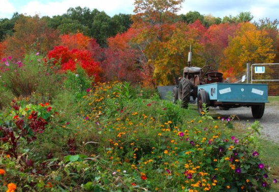 bfnMass's tweet photo. Our friends at @WrightLockeFarm in are hiring for an Assistant Education Director - check it out at https://t.co/n14lyTrhG8  #farmjob #farmeducation https://t.co/VVHEkDgPjN