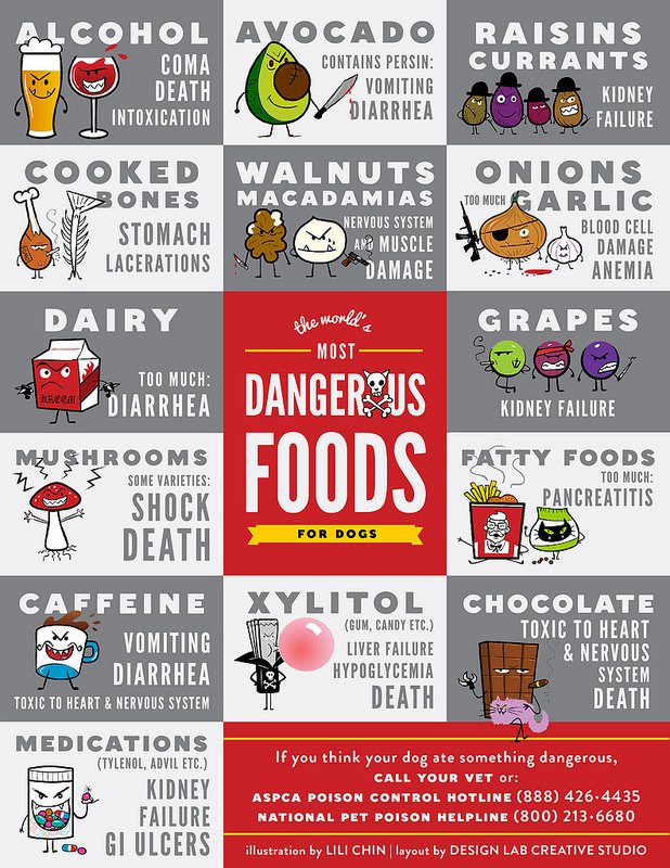 pawcurious's tweet photo. World’s Most Adorable Degenerate Produce | Pawcurious: With Veterinarian and Author Dr. V https://t.co/irwzymBTBY https://t.co/kRifSMu5pG