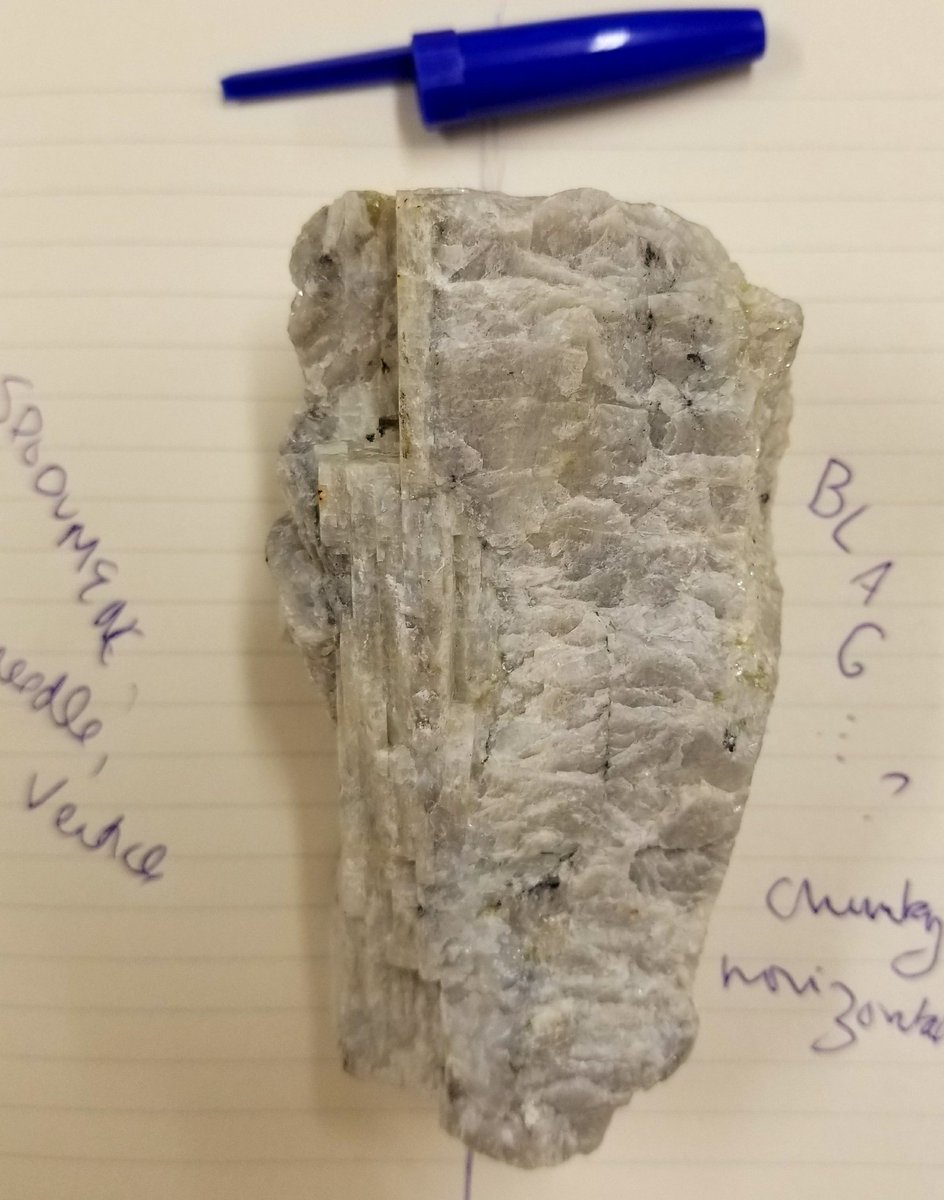 BiancaFernet's tweet photo. Attn #LITHIUM lovers! Episode 3: The Wizards of Oz of the Global Lithium Podcast is now live at https://t.co/X9v5Tz0OY5 &amp; iTunes. @globallithium and I are joined in Perth by @Neometals_ASX to discuss the #HardRock story and recount our visits to @AlturaMining &amp; @PilbaraMinerals https://t.co/Rzw2YcAVkh