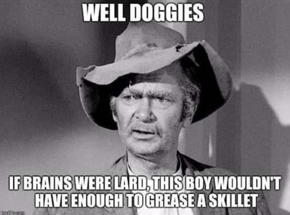 SierraWhiskee's tweet photo. When #Liberals think anyone #CouldBeatTrumpIn2020! https://t.co/kSFCrwfv3e