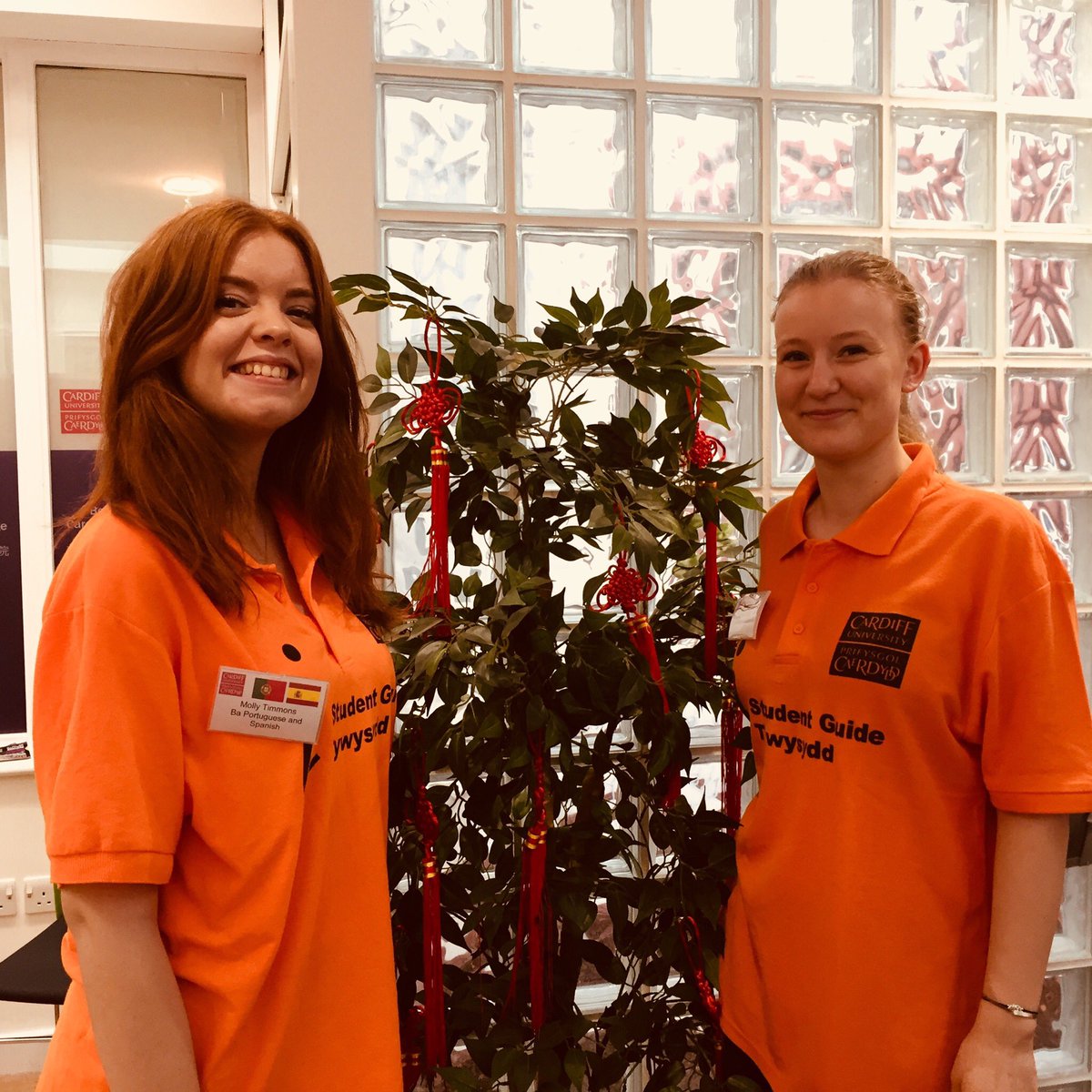 CatInLanguages's tweet image. Busy @cardiffmlang Visit Day, and a special thank you to our Student Ambassadors who do a fab job! #mlangvisitday