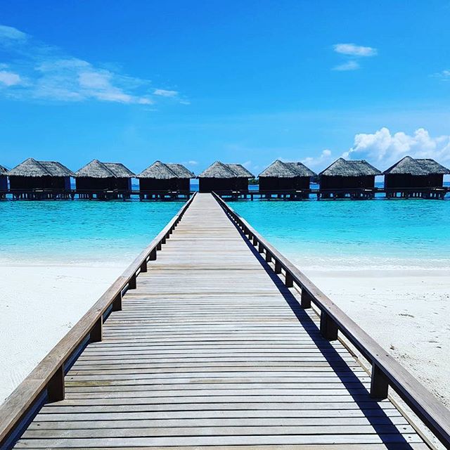 everycountryint's tweet image. Travel Tip: The Maldives in July. It's fantastic value for money. Here are some amazing deals on 5-star resorts for this summer: hotels.henriktravel.com/Hotels/Search?… #travel #deals #maldives #holiday #vacation #beach #beaches #lovetravel #travelblogger #deal #resorts #traveller #traveler