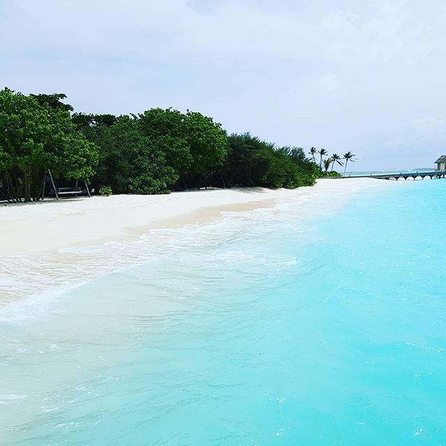 everycountryint's tweet image. Travel Tip: The Maldives in July. It's fantastic value for money. Here are some amazing deals on 5-star resorts for this summer: hotels.henriktravel.com/Hotels/Search?… #travel #deals #maldives #holiday #vacation #beach #beaches #lovetravel #travelblogger #deal #resorts #traveller #traveler