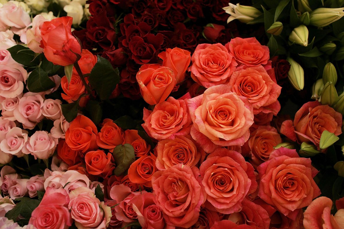 phxflowershops tweet picture