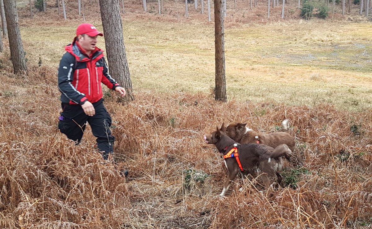 Search Dogs Zak & Rusty tweet media