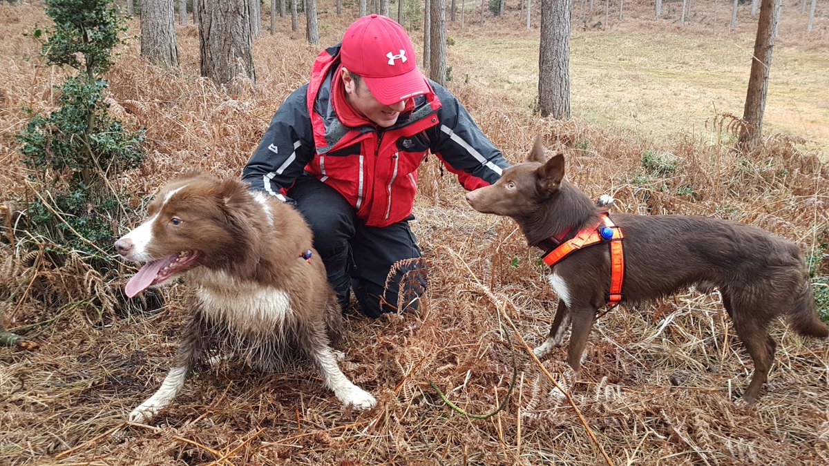 Search Dogs Zak & Rusty tweet media