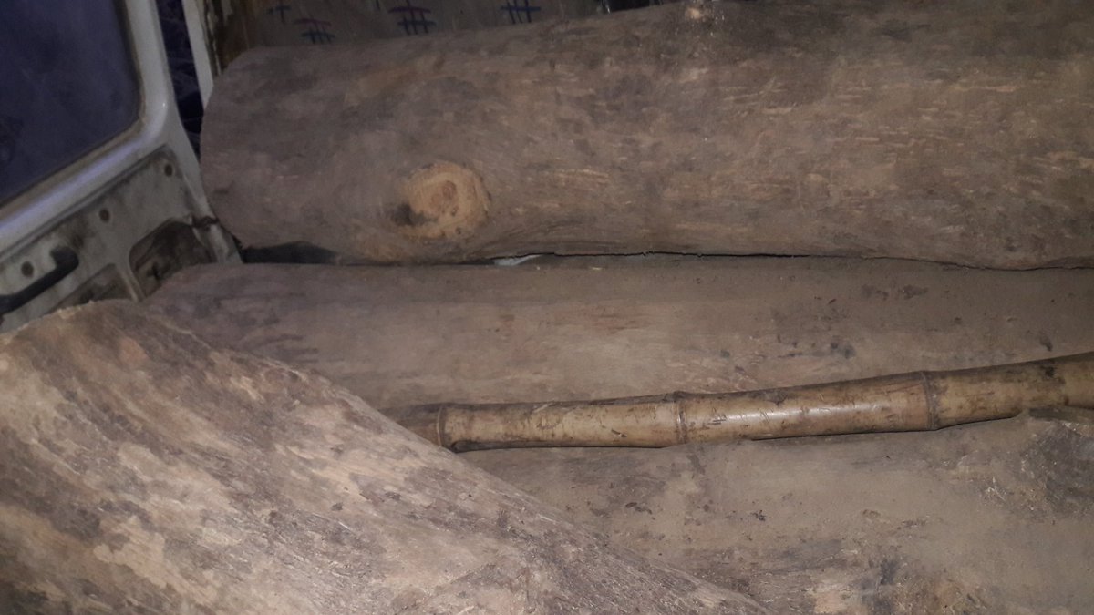 CGNEWSLIVE1's tweet image. अवैध सागौन इमारती लकड़ी के साथ मार्शल हुआ जब्त,गुरदा सर्कल जबलपुर खरसिया वनपरिक्षेत्र का मामला आरोपी को मोटा रकम ले कर किया फरार....