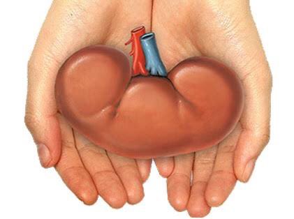 Anlık Beşiktaşlılar. ❤️ #talisca ❤️